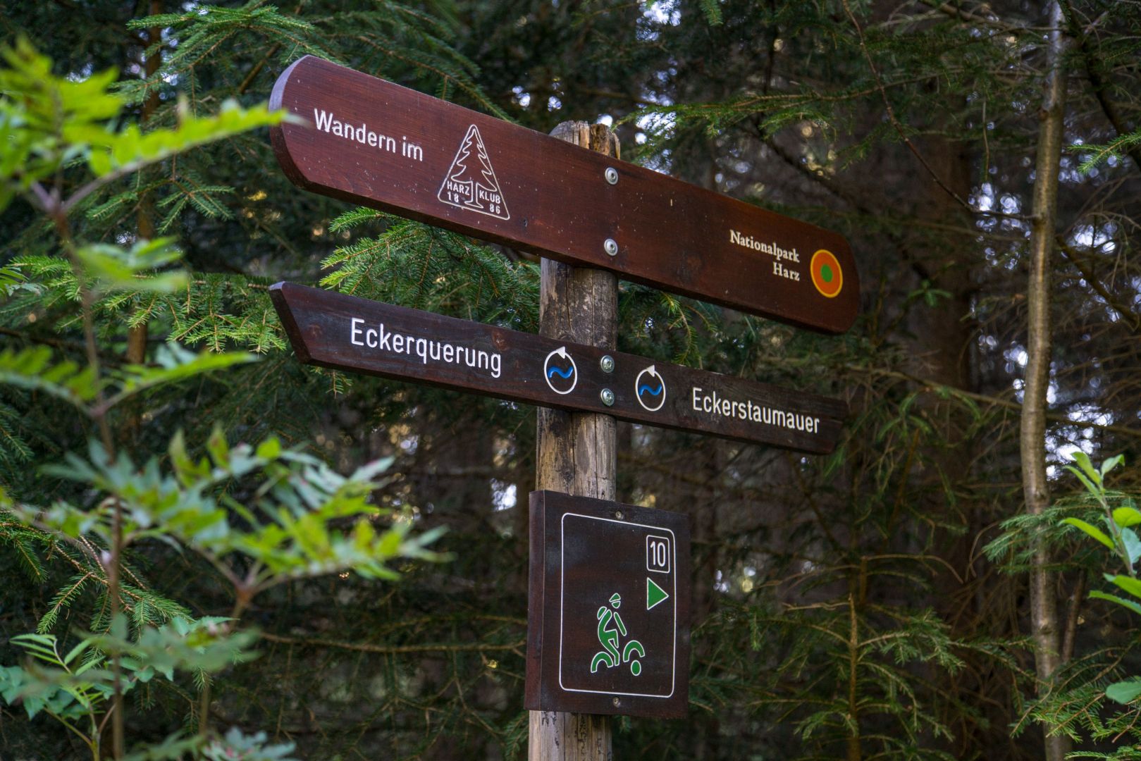 Wanderung zur Eckertalsperre