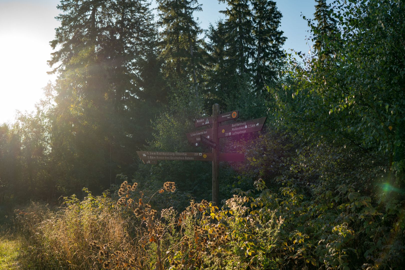 Wanderung zur Eckertalsperre