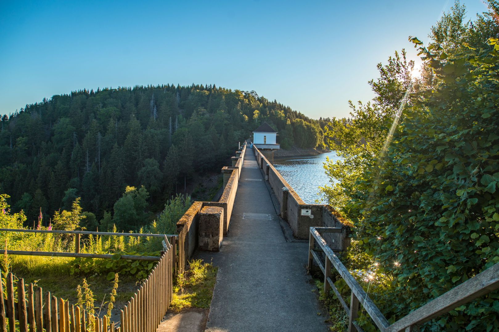 Wanderung zur Eckertalsperre