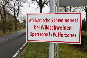 Warnschild Afrikanische Schweinepest (Archiv)