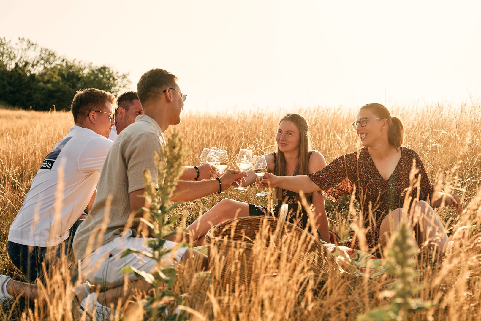 Warum alkoholfreier Wein im Trend liegt: 0,0 % Secco und Wein für bewussten Genuss ohne Alkohol entdecken