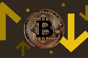 Warum Bitcoin im November massiv einbrach