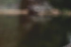 Warum eine eigene Link-Domain als URL-Shortener ein echter Gewinn ist