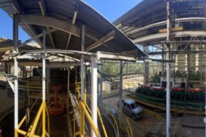 Was Zentralbanker über Gold denken