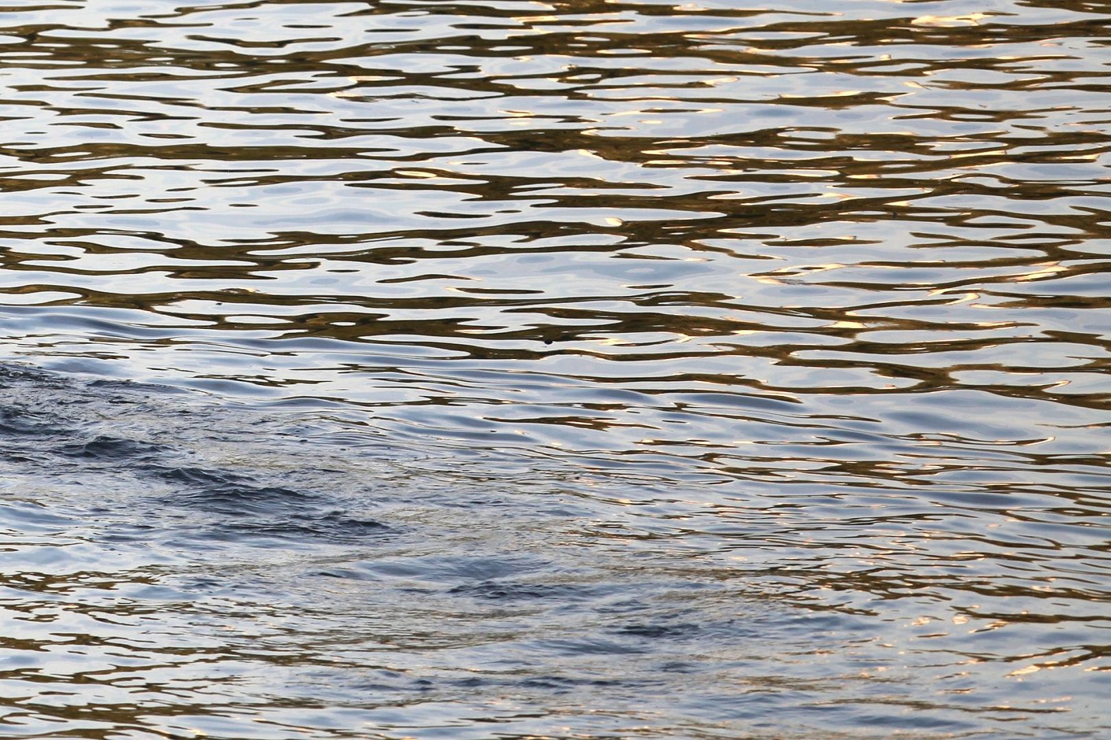 Wasser (Archiv)