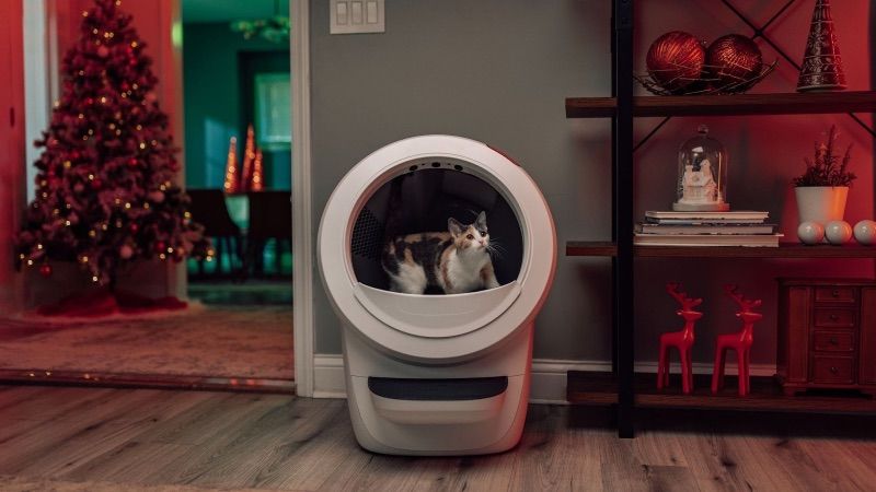 Weihnachts-Highlight für Katzenfans: Der Litter-Robot 4 als perfektes Geschenk