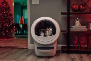 Weihnachts-Highlight für Katzenfans: Der Litter-Robot 4 als perfektes Geschenk