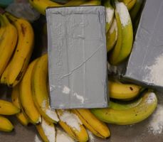 Weißes Pulver, das Kokain darstellen soll, liegt neben Bananen.