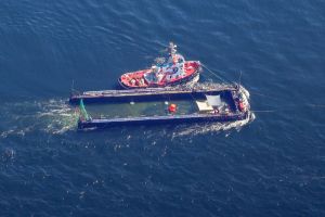 Weitere Entwicklung zum Buckelwal auf dem Weg aus der Ostsee
