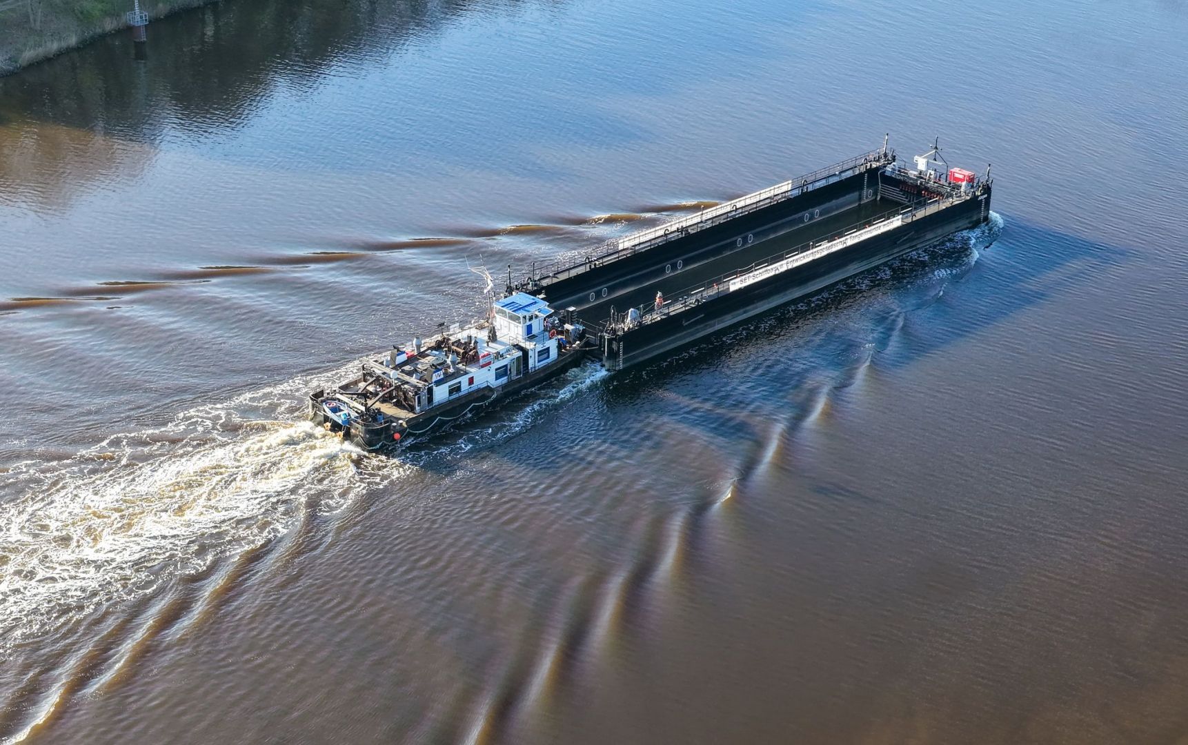 Weitere Entwicklung zum Buckelwal in der Ostsee