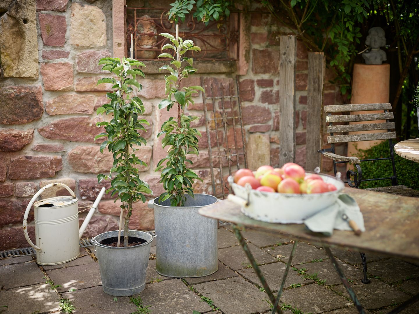 Welcher Obstbaum passt wirklich in meinen Garten?