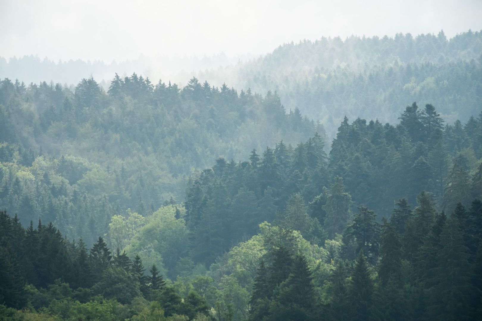 Wetter in Baden-Württemberg