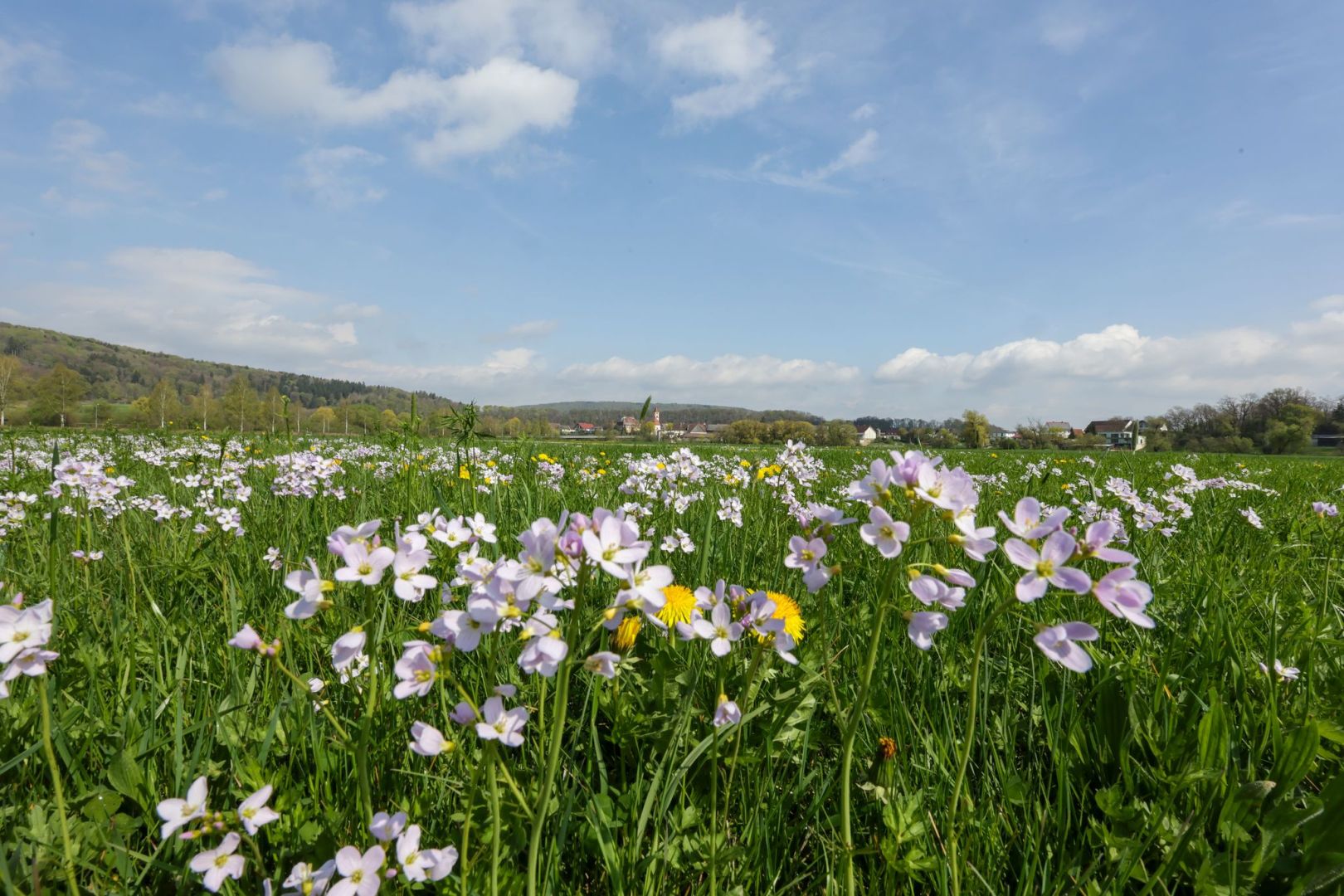 Wetter in Baden-Württemberg