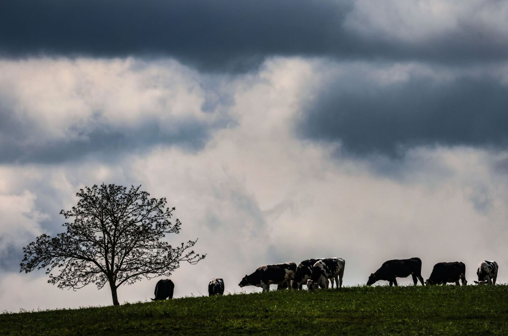 Wetter in der Eifel