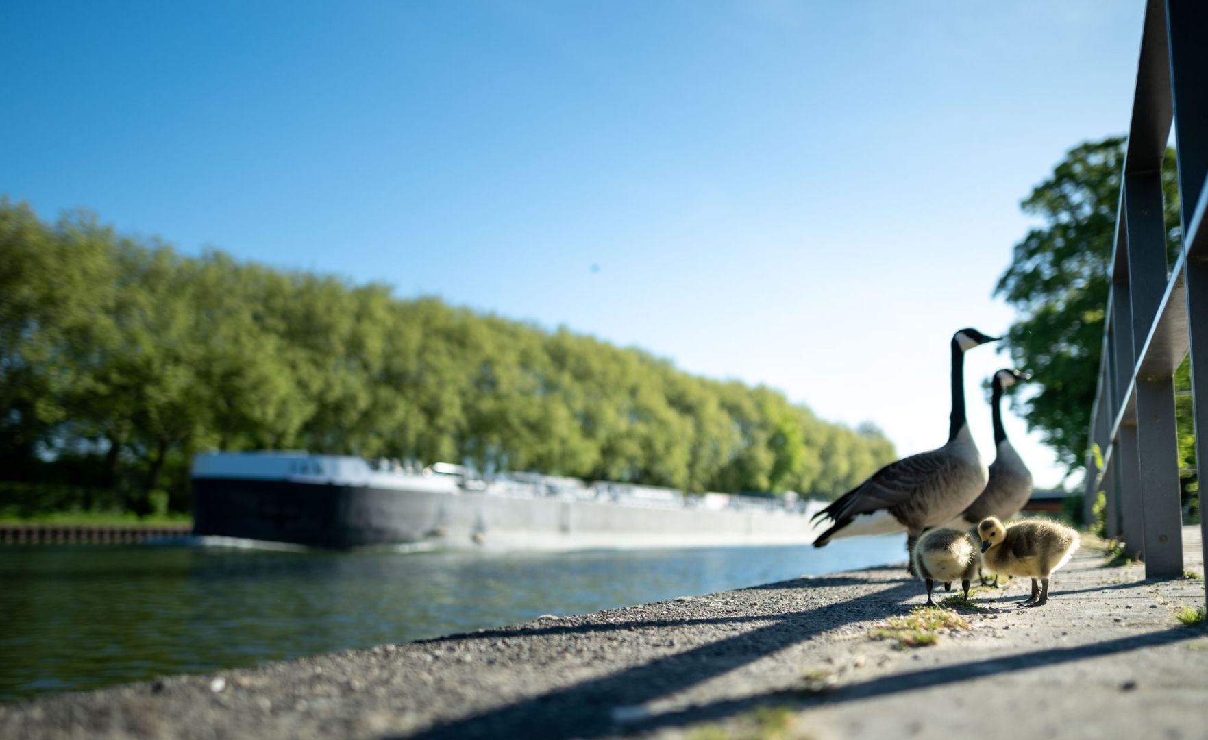 Wetter in Nordrhein-Westfalen