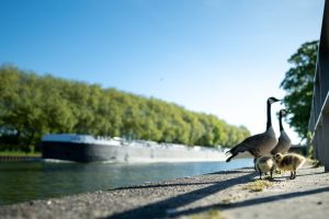 Wetter in Nordrhein-Westfalen