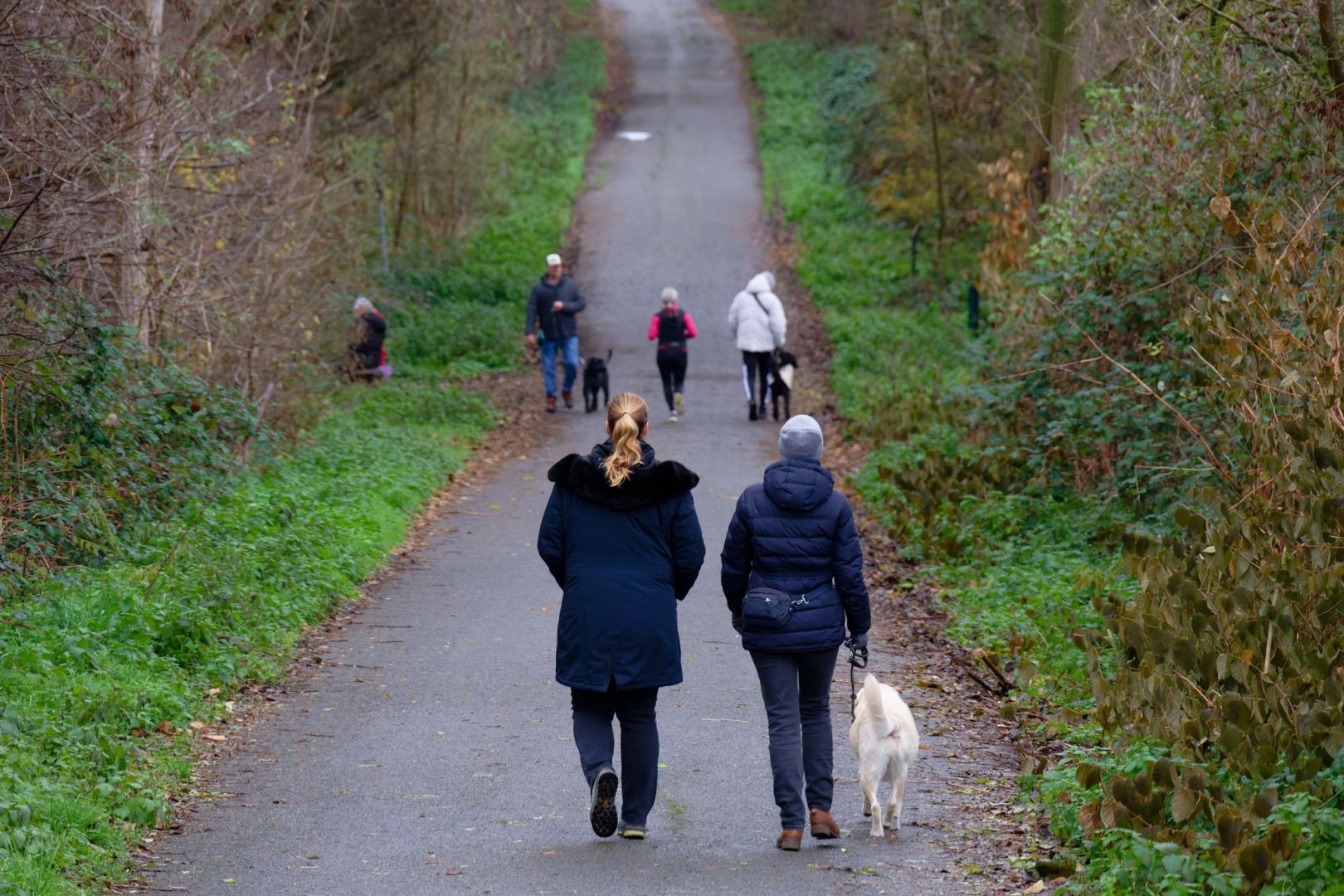 Wetterausblick zum Start in die neue Woche