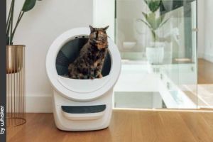 Whisker Litter-Robot 4 – Auch für Haushalte mit mehreren Katzen geeignet