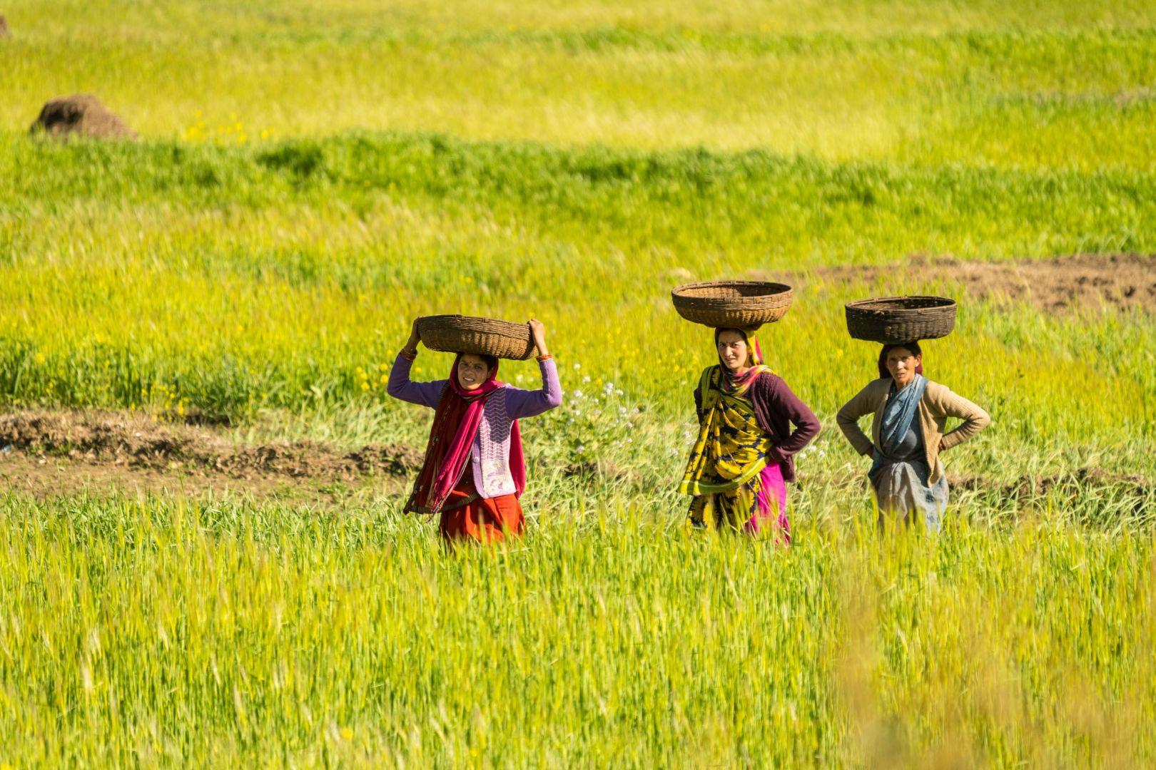 Wie erreicht man intelligenten Klimaschutz – gut für Klima, Natur und Menschen?