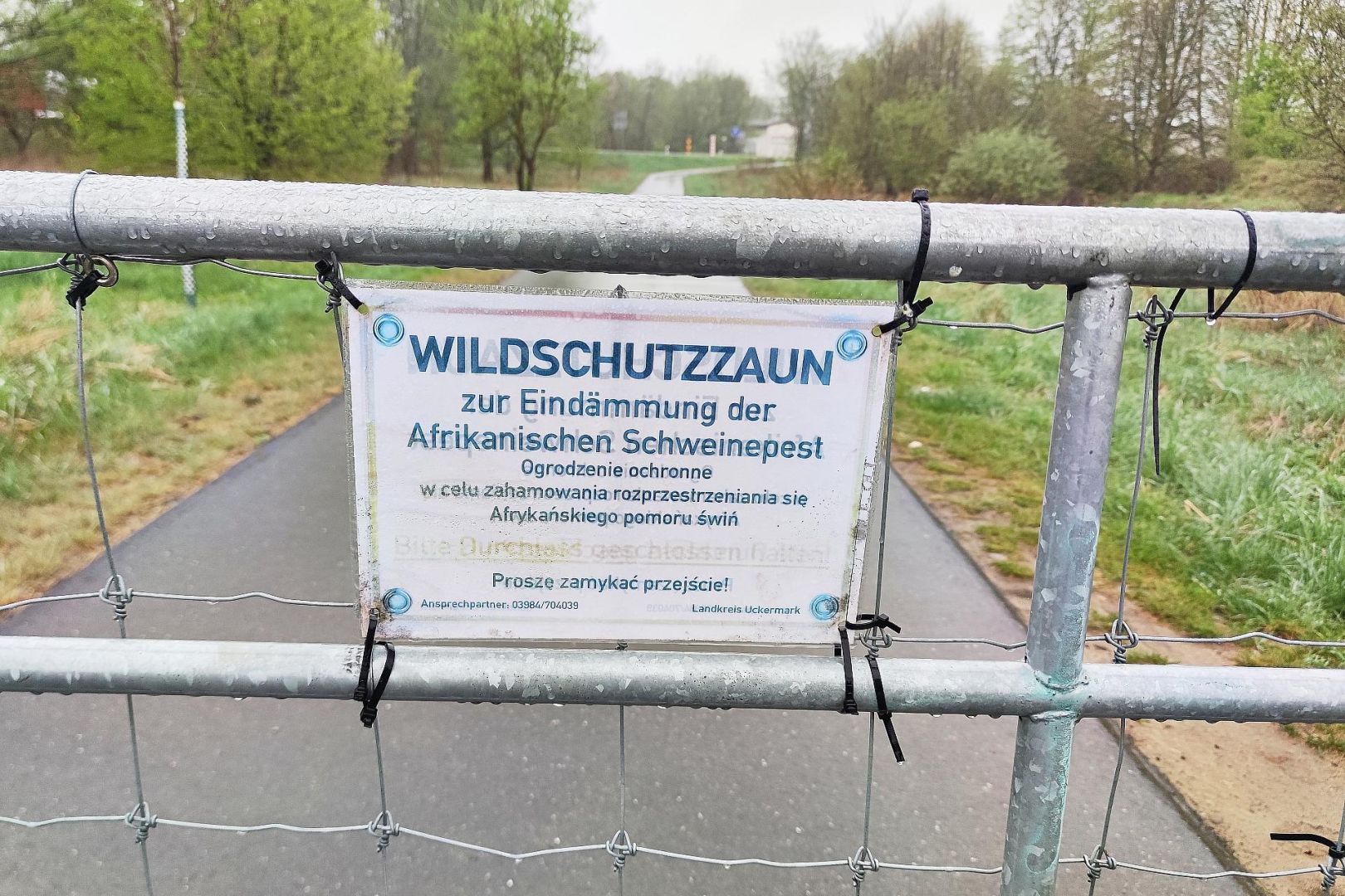 Wildschutzzaun gegen Afrikanische Schweinepest (Archiv)