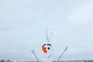 Willst du einen Schneemann bauen?