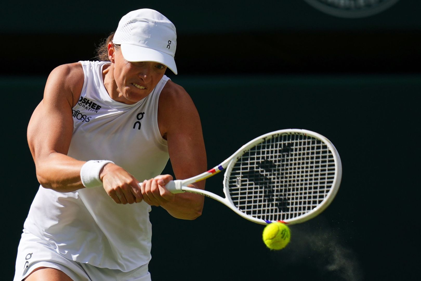 Wimbledon Tennis 2025