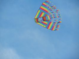 wind, kite, august, darling, wind, kite, kite, kite, kite, kite, august, august, august