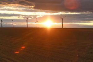 Windräder (Archiv)