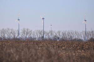 Windräder (Archiv)