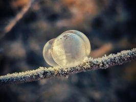 winter, snow, frost, cold, hoarfrost, winter landscape, soap bubbles, tender, nature, frozen, ice cream