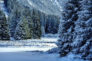 winter, snow, mountains, winter landscape, snow landscape, covered in snow, ice cream, frozen, nature, winter, winter, winter, winter, winter, snow, snow, winter landscape, nature