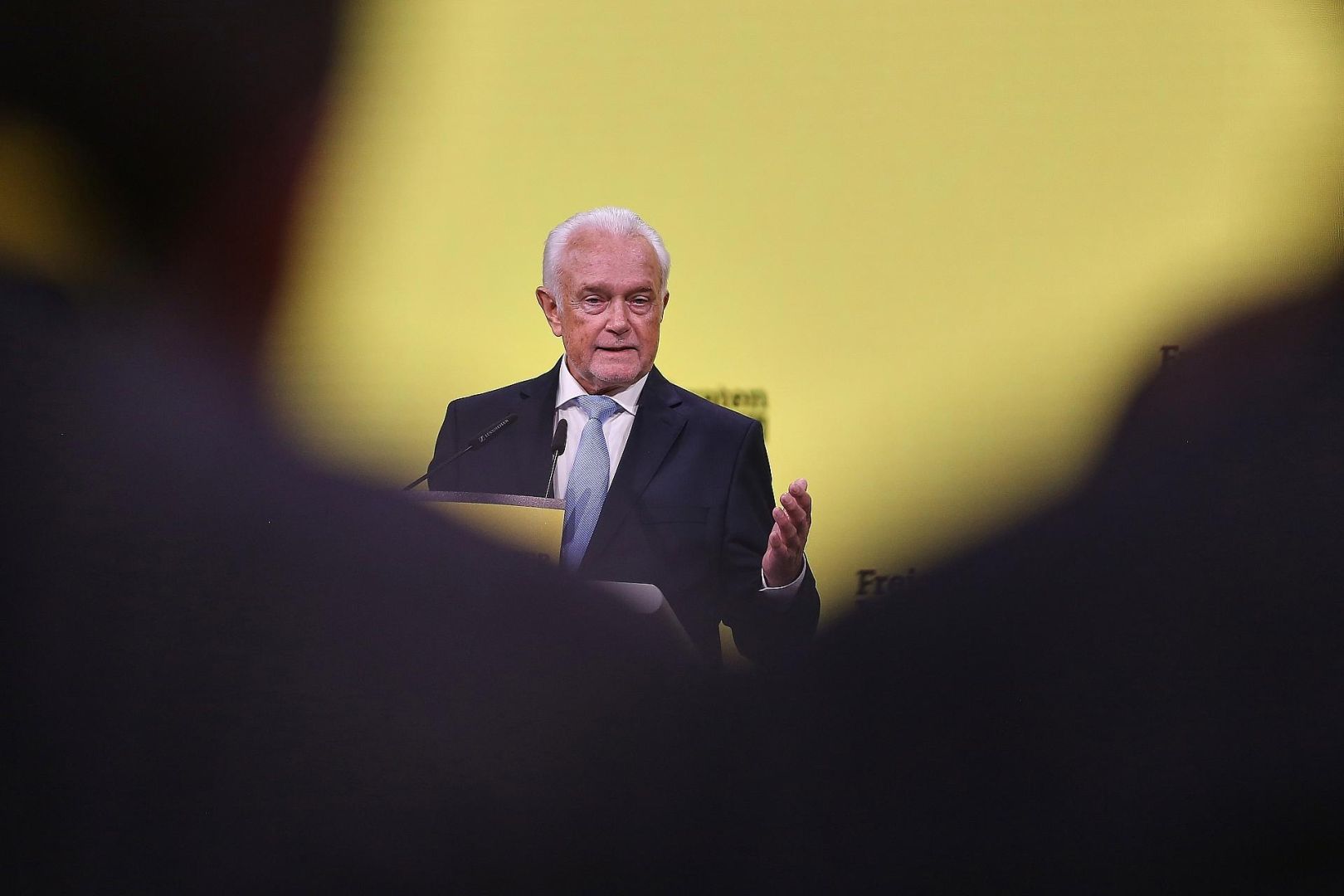 Wolfgang Kubicki (Archiv)