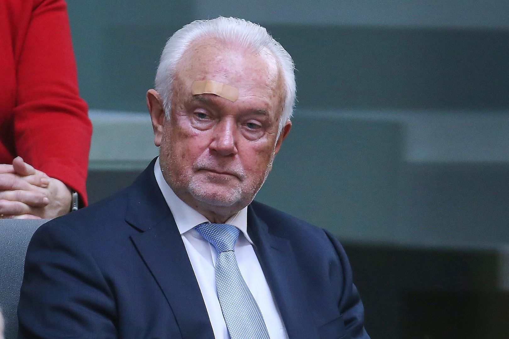 Wolfgang Kubicki (Archiv)