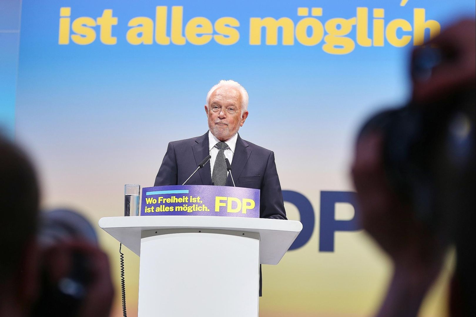 Wolfgang Kubicki (Archiv)