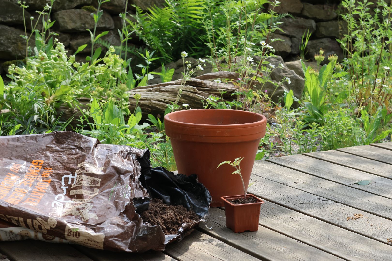 Woran erkenne ich hochwertige Erde?