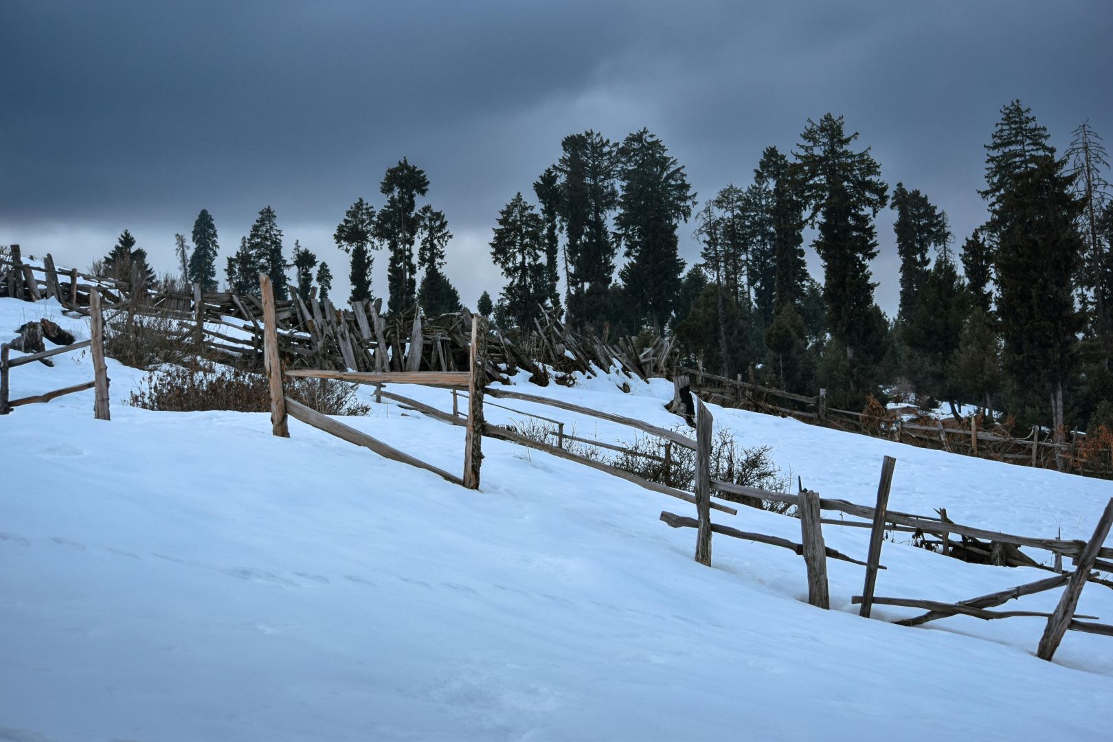 Wunderschöne Winterlandschaft mit schneebedecktem Land und Bäumen in Gulmarg.