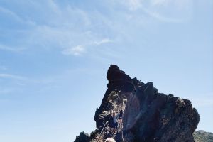 Wyldaway wächst: neue Ziele für aktive Millennials