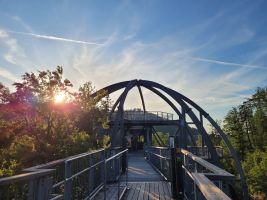 Yoga auf dem Baumwipfelpfad mit Kursleiterin Andrea Bönig