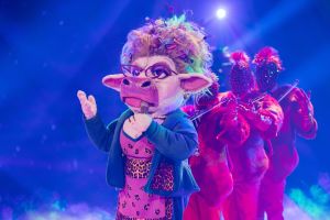 „The Masked Singer“ - Finale