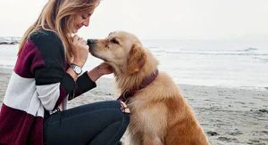 Zahnfleischentzündung beim Hund: Ursachen erkennen und rechtzeitig handeln