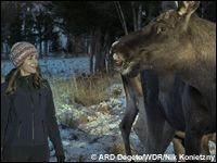 «Zielfahnder»: Vierter Einsatz führt nach Malta