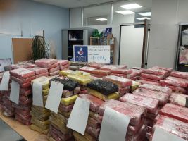 Zoll findet Kokain im Millionenwert in Blumenerde-Laster