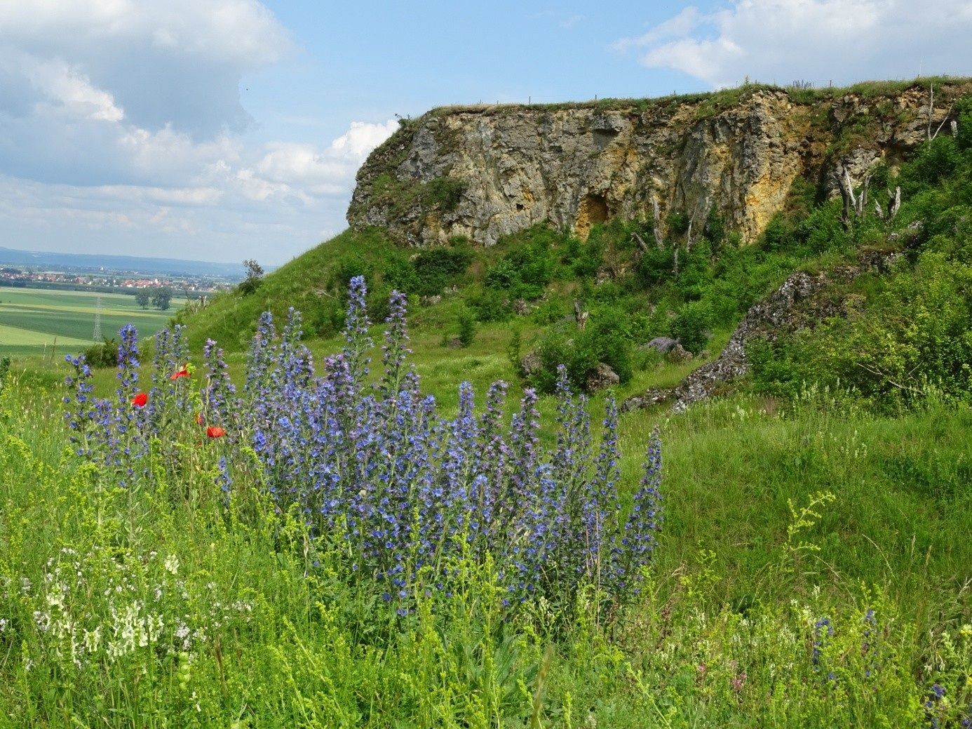 Zur Woche der Europäischen Geoparks „Auf Schatzsuche am Goldberg“