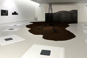 Zwischen Stich und Linie