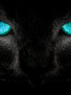 k580136