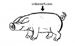 schweinepuckel.JPG