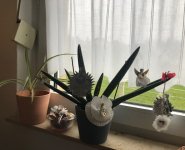 IMG_0020.jpg IMG_0020.jpg