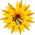 1685777646182.png