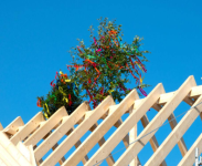 1750157195738.png 1750157195738.png