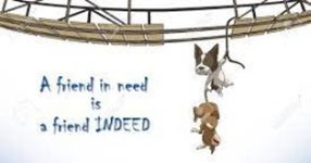 Unnützes Wissen III.jpg Unnützes Wissen III.jpg